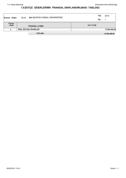 1.8.b&uuml;t&ccedil;e giderlerinin finansal sınıflandırılması tablosu