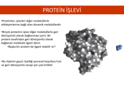 PROTEİN İŞLEVİ - fbuyukserin.at.etu.edu.tr