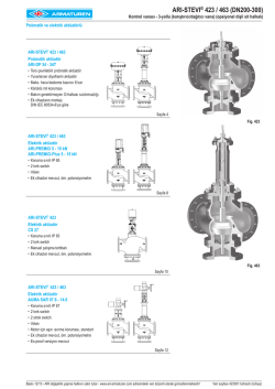 ARI-STEVI&reg; 423 / 463 (DN200-300)