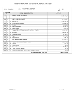 B&uuml;t&ccedil;e Giderlerinin Ekonomik Sınıflandırılması Tablosu