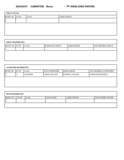28/03/2015 CUMARTESİ 25.YARIŞ G&Uuml;N&Uuml; RAPORU Bursa
