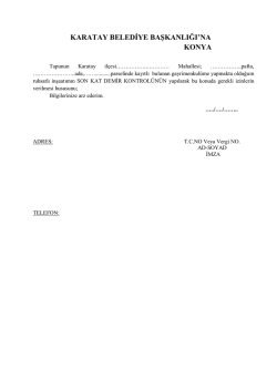 SON KAT DEMIR KONTROLU