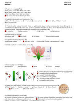 Erzak Paketi Temin İşi İ&ccedil;in Tıklayınız