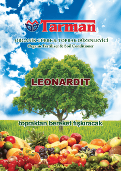 C-Serisi fiyat listesi - Mercedes-Benz