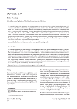 Parvovirus B19 - Genel Tıp Dergisi