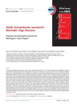 Acinetobacter baumannii