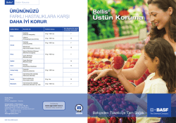 Bellis - BASF T&uuml;rk Bitki Koruma