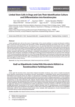 Limbal Stem Cells in Dogs and Cats Their Identification Culture and