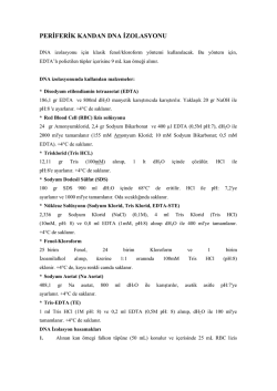 PERİFERİK KANDAN DNA İZOLASYONU