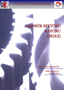 Asans&ouml;r Sekt&ouml;r Raporu 2013-2
