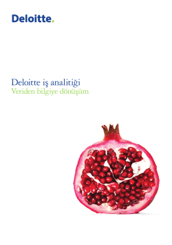 Deloitte iş analitiği