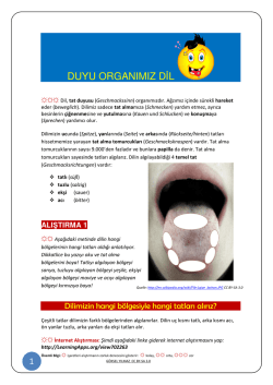 DUYU ORGANIMIZ DİL - Schule mehrsprachig