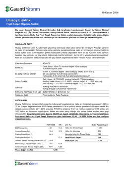 Ulusoy Elektrik Fiyat Tespit Raporuna Iliskin Analist