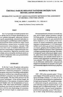 Tam Metin (PDF)