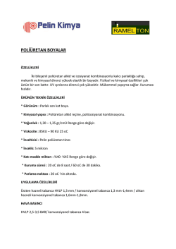 POLİ&Uuml;RETAN BOYALAR
