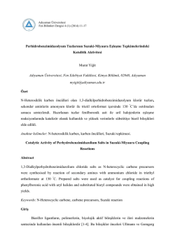 Bu PDF dosyasını indir