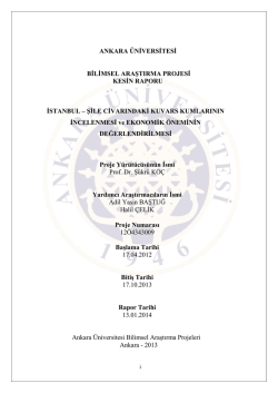 ankara &uuml;niversitesi bilimsel araştırma projesi kesin raporu istanbul