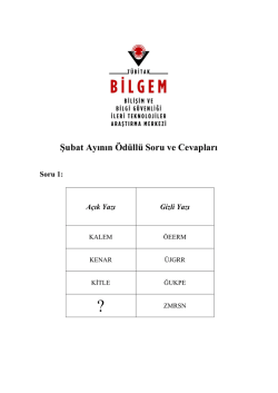 Şubat - Ulusal Elektronik ve Kriptoloji Araştırma Enstit&uuml;s&uuml;
