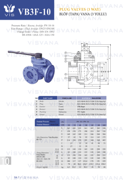 PLUG VALVES (3 WAY) BL&Ouml;F (TAPA) VANA (3 YOLLU)