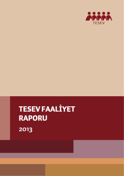 2013 Faaliyet Raporu için tıklayınız