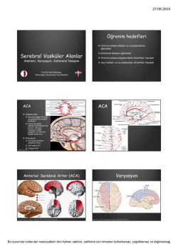 Serebral Vasküler Alanlar