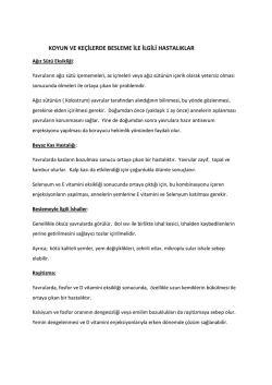 koyun ve ke&ccedil;ilerde besleme ile ilgili hastalıklar