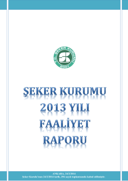2013 Faaliyet Raporu