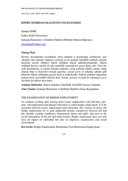 K&Ouml;PR&Uuml; ST HDAM OLGUSUNUN NCELENMES Yavuz TANĞ Dokuz