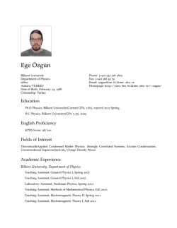 Ege &Ouml;zg&uuml;n: Curriculum Vitae