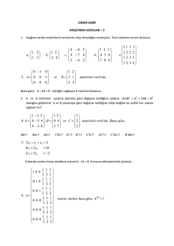 Araştırma Soruları-2