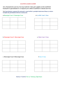 Kaltım Konulu &Ccedil;alışma Kağıdı