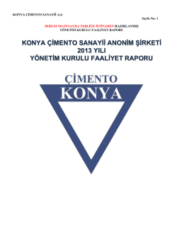 2013 Y&ouml;netim Kurulu Faaliyet Raporu