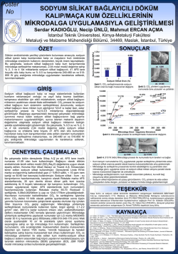 Poster  - WordPress.com