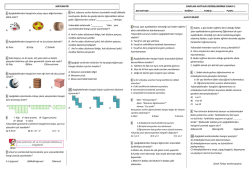 dosyayı indir - okulbahcemiz