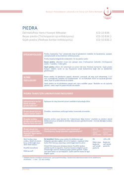Piedra