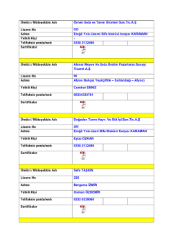 &Uuml;retici / M&uuml;teşebbis Adı &Ouml;rnek Gıda ve Tarım &Uuml;r&uuml;nleri San.Tic
