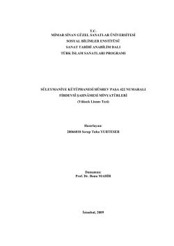 tc mimar sinan g&uuml;zel sanatlar &uuml;niversitesi sosyal bilimler enstit&uuml;s&uuml;