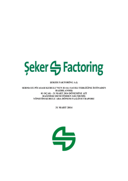 31/03/2014 Faaliyet Raporu