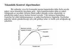 Tıkanıklık Kontrol Algoritmaları