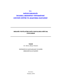 Tez Formatı i&ccedil;in tıklayınız.