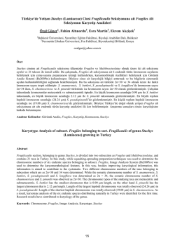 (Lamiaceae) Cinsi Fragilicaulis Seksiyonuna ait