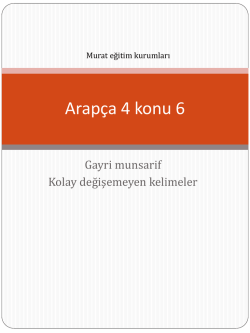 Arap&ccedil;a 4 konu 6