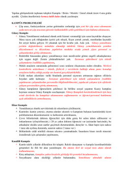 KİK 2014 Taleplerimizin PDF halini indirmek i&ccedil;in tıklayınız