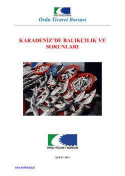 Balık&ccedil;ılık Raporu - Ordu Ticaret Borsası