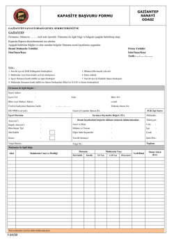 Kapasite Raporu Başvuru Formu