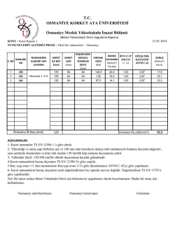 06 karot numuneleri i&ccedil;in &ouml;rnek rapor