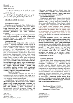 D&ouml;k&uuml;m Almak İ&ccedil;in Tıklayınız