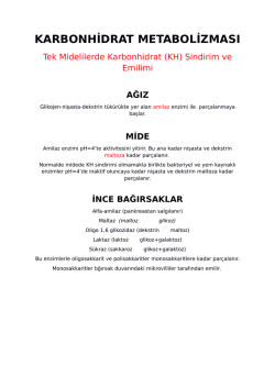 KARBONHİDRAT METABOLİZMASI-tek