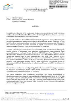 Ozon Tabakasını İncelten Maddelerin Kontrol ve Denetimleri