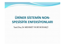 ÜRİNER SİSTEMİN NON- SPESİSİFİK ENFEKSİYONLARI